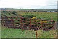ND3359 : Field gate near Loch of Wester by Alan Reid