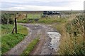 Farm access track, Mid Keiss