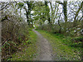 A path by the Tarf Water