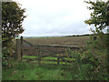 Field access on Parracombe Common