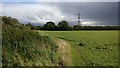 Field on the Aylestone Meadows