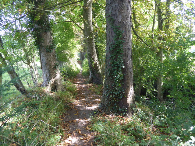 Path through woodland near Hollanden Park Farm