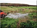 Temporary pool, Bulverhythe Recreation Ground