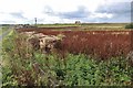  : Weedy field and old bales, Corbiegoe by Alan Reid