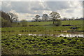 Pond by the railway