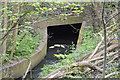 Culvert under the A1