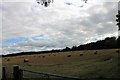 Castle Farm Bales