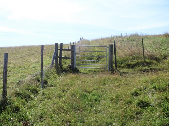 Gate on the bridleway