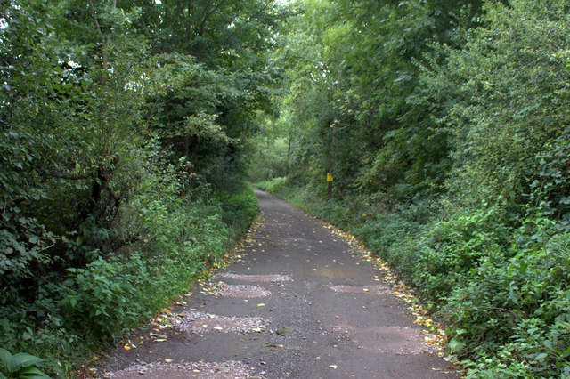 Path from Bayford to White Stubbs Lane