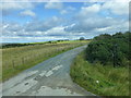 NZ9400 : Signage for Thorney Brow Farm on the A171 by Raymond Knapman