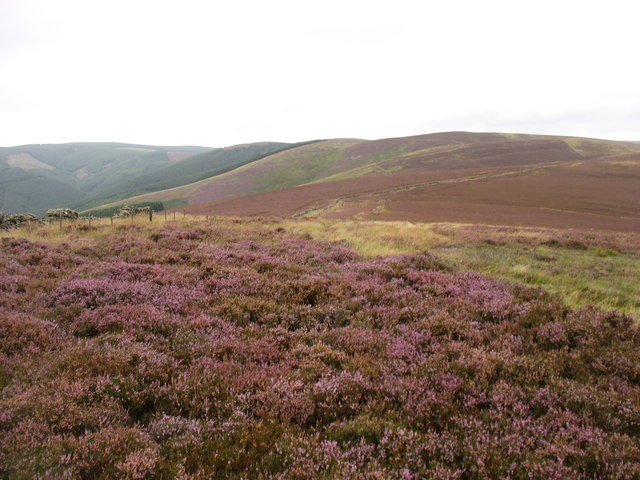 Slopes to the west of the Black Knowe ridge