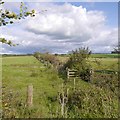 Hedge and ditch, Titwood