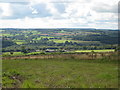 View towards Broadenham Farm