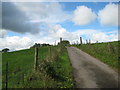 Roadway to Ashcombe Farm