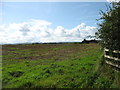 Farmland at Howend