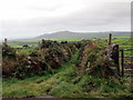 Llwybr Ceffyl Garnfadryn / Garnfadryn Bridleway