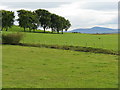 The Tinto Hills from Auchengray