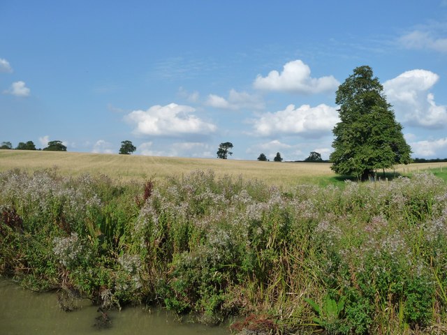 Farmland west of Winwick Manor Farm