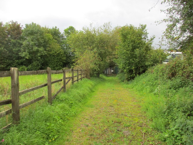 Track near Dart Bridge, Buckfastleigh