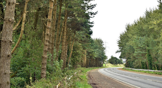 Road landscaping, Ballyhill Upper near Dundrod (September 2017)