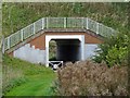 Underpass under The Dove Way