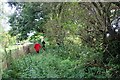 Overgrown path along old mill leat at Shurton