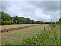 SU5247 : Field between Bramdown Copse and road by Robin Webster