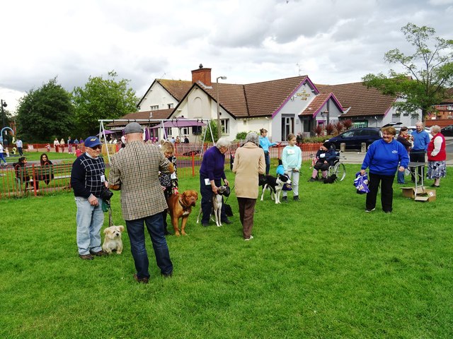 Judging the dogs in Perton