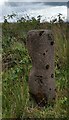 SS8388 : Bodvoc Stone & Ordnance Survey Cut Mark by Adrian Dust