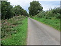 Road beside the River Annan from Applegarthtown to Millhousebridge