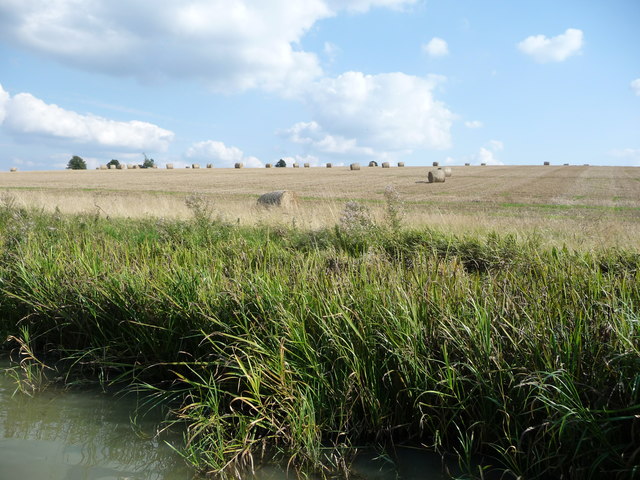 Farmland east of Yelvertoft Fieldside Covert