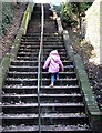 An uphill struggle (Linton Gardens, Hastings)