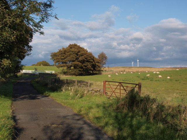 Road at Over Carswell farm