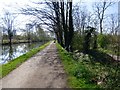 Bridgewater Canal