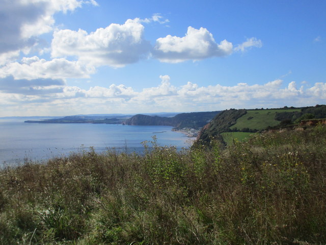 View from the Coastal Path above Higher Dunscombe Cliff