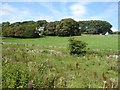 Cotesfield Farm and the old railway route