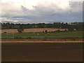 NT0277 : Farmland across railway by James Allan