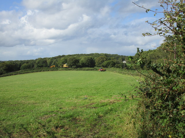 Grass field near East Chelborough