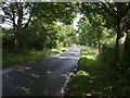 Litcham Road towards Beetley