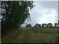 Farm track near Peaseland Green