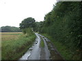 Rural road, Peaseland Green