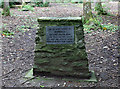 NT4628 : A memorial cairn on the Haining Estate, Selkirk by Walter Baxter
