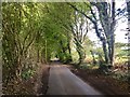 Scragged Oak Road, near Detling