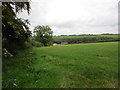 Grass field and Loveland Farm