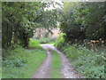 Track to Lower East Kimber Farm