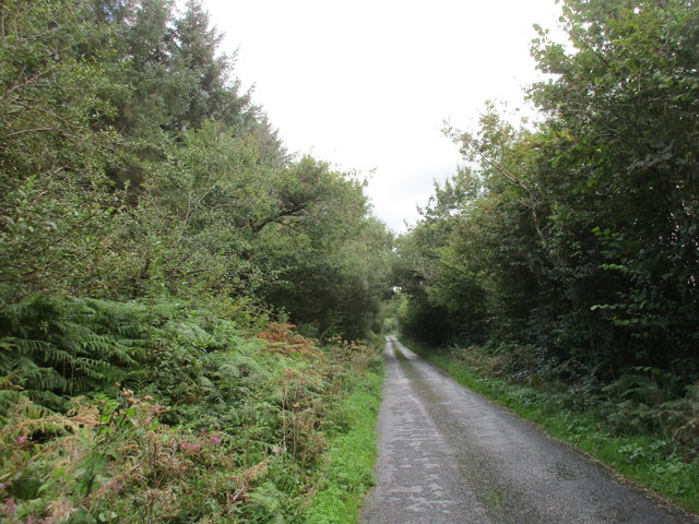 Lane to Ashbury