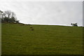 Hillside near Treboul Cross