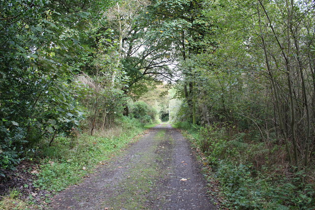 The Black Loch Walk