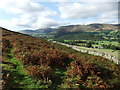 Path below Dodd