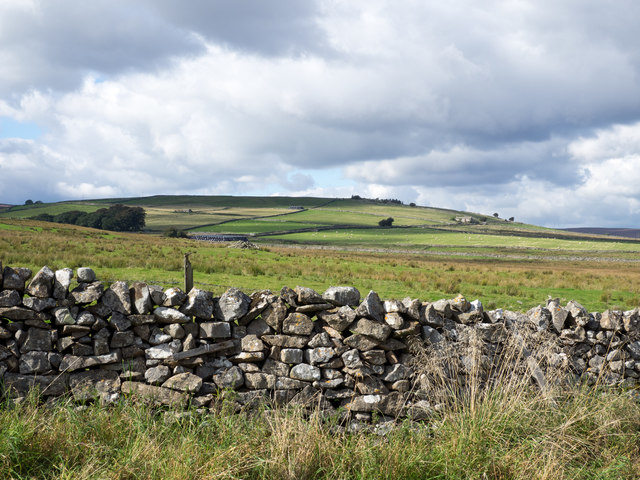 Rough grazing beyond dry stone wall